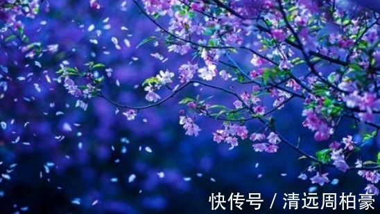 贺知章&史上五绝、七绝均臻化境的诗人只有他,这几首精妙五绝被严重低估