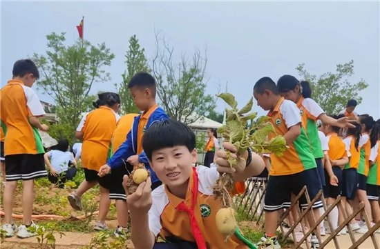 劳动教育|奎文区圣卓实验学校让劳动教育落地生根