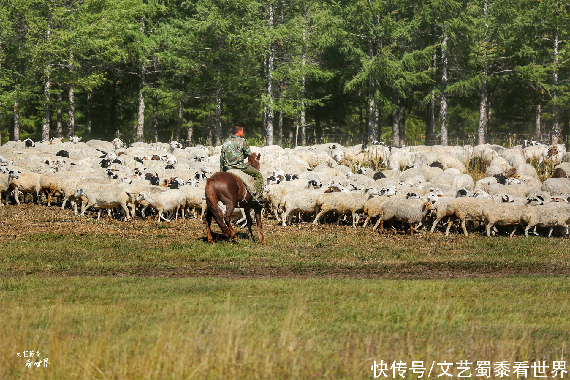 阿木古郎|中国有一条独一无二的河流，流域美如画，流出国境最后又转了回来