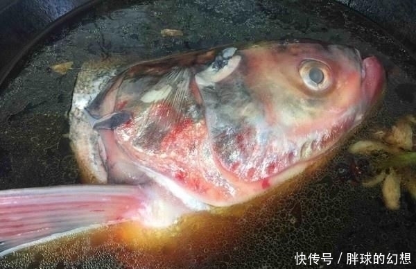 中薪|遇到这种鱼千万不要手软，含钙量特别高，常给孩子吃，个子长得高