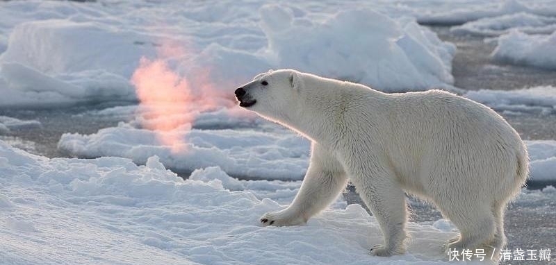 近年时不时来发生让人类惊讶不已的事情,地球到底发生了什么事情