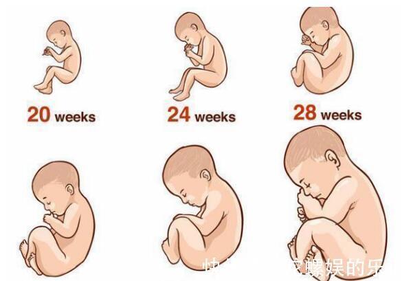 压迫|胎儿最后一个“猛涨期”,孕妇有三个表现,抓住对娃有好处