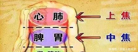 下焦|搞懂了人体的“三焦”,所有疑难杂症,都可迎刃而解,建议收藏!