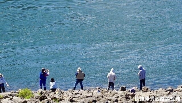 江太公|不用鱼饵钓大鱼，完全打破传统钓鱼的常识，三小时钓了20多条