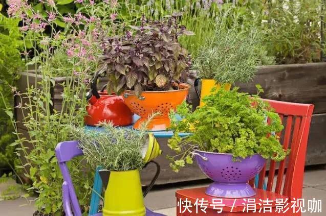 她从不买“花盆”,种出来的花却美的让人称赞,朋友都来向她学习