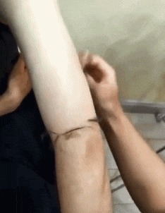 |搞笑GIF段子:军训中遇到的妹子,我是不是该提前出手了?