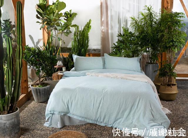 买床单被套,“全棉”和“纯棉”有何区别?看完别再傻傻分不清楚