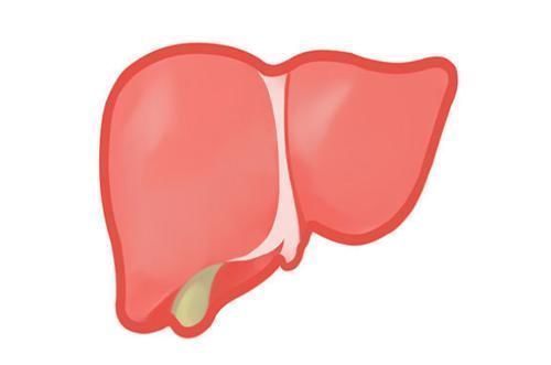 人体|黄芪是很好的补药,但此3类人尽量别吃,不然就是给自己找麻烦!