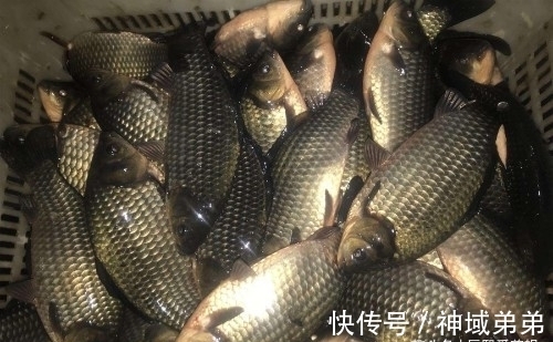 冬季还能不能夜钓?选择这3种天气出门,渔获不比白天差