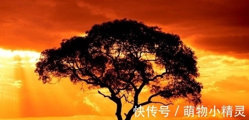 布莱恩！诚者，天之道也。诚之者，人之道也！