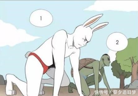 a8736|搞笑漫画龟兔赛跑，龟仙人的美人计！