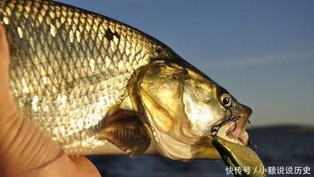 小药|钓友们一定要小心渔具带来的伤害,可能是致命的伤害