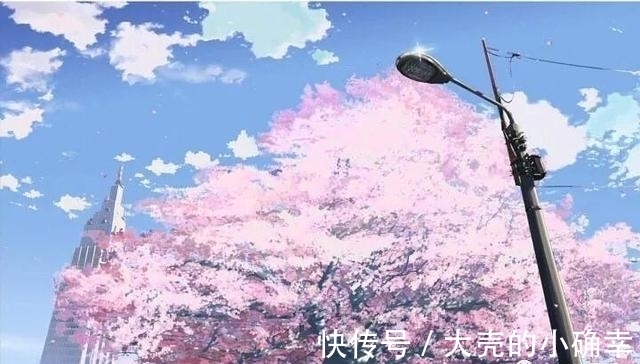 n「CSGO」小心二次元