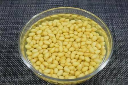 浇花|家里自制养花“肥水”，每半个月给花来一点，浇一浇就长得旺！