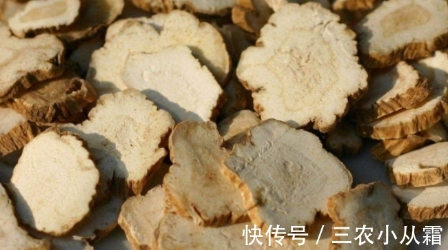 药用价值|农村一种野草可以祛风止痛,以前农民不认识,现在一斤50块