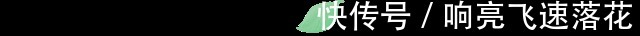 单品|这10种抹茶单品，赌你没吃全！