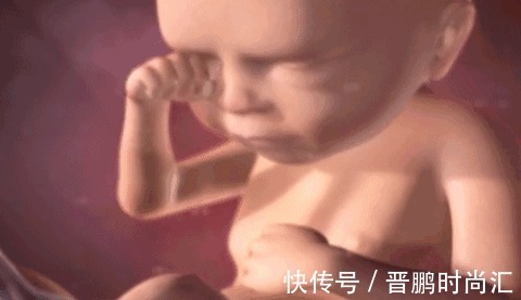 肚子|除了睡觉,胎儿在妈妈肚子里干啥呢?每个妈妈都应该看看
