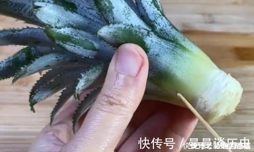 吃剩下的“菠萝头”不要扔,插3根牙签,放在家里太棒了,快学学