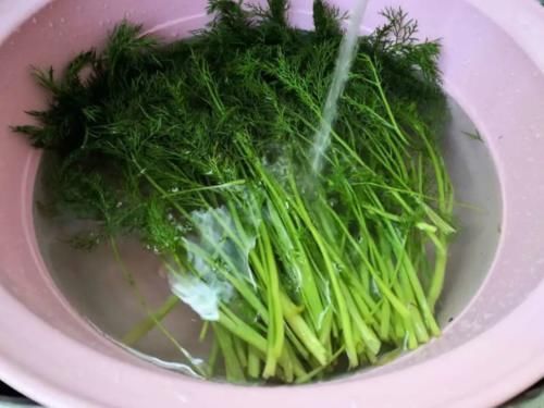 茴香炒蛋|湿气最怕吃“这道菜”，简单炒一炒，营养互补，湿气没了，身体轻松了