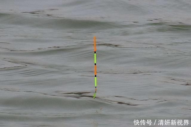 不知道用七星漂还是立漂,看完这篇就知道了