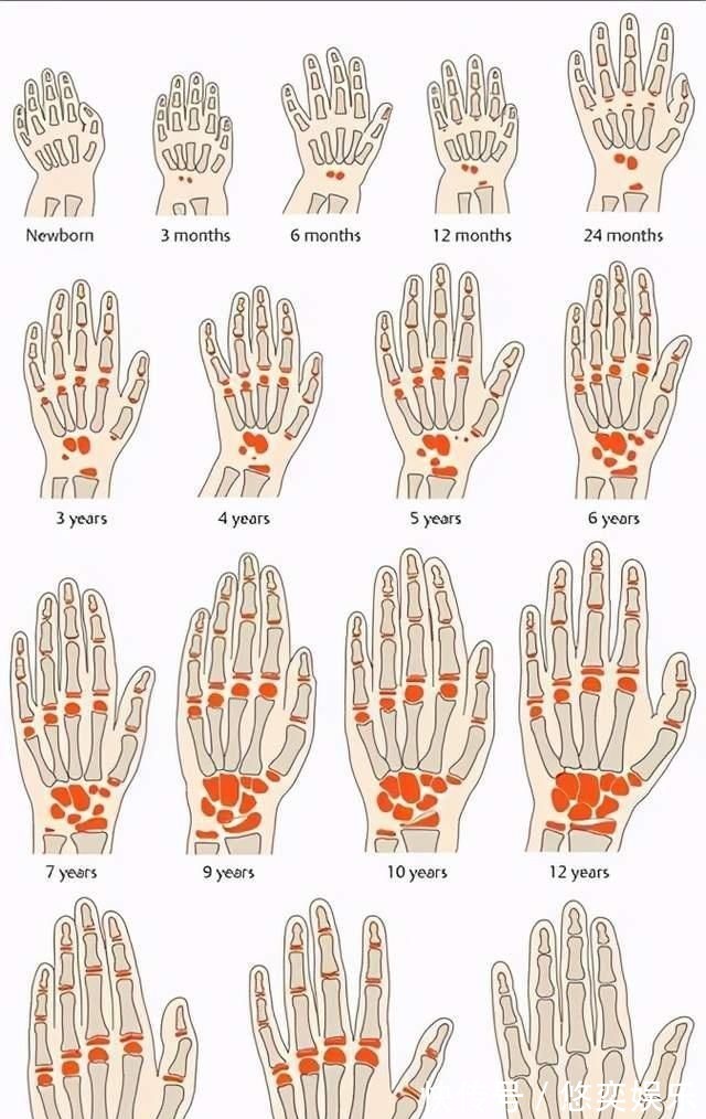 西弗特|孩子能不能长高,与骨龄有很大关系,要给孩子定期测量
