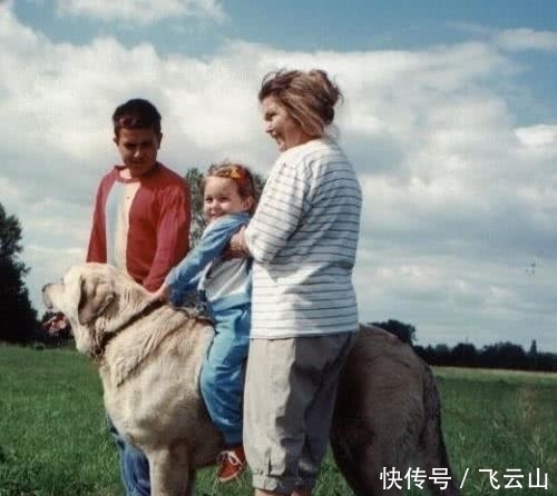 世界上最大的10种狗狗 中国藏獒竟然落榜 大丹犬仅排第八 快资讯 世界上最大的10种狗狗 中国藏獒竟然落榜 大丹犬仅排第八 快资讯