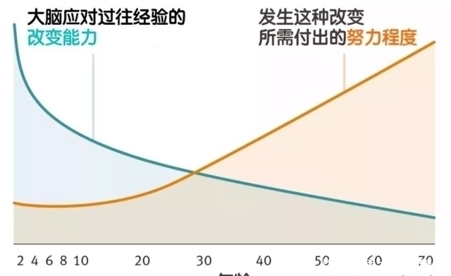 父母|孩子总是学习差,父母错过孩子大脑发育黄金期，却逼孩子加倍努力