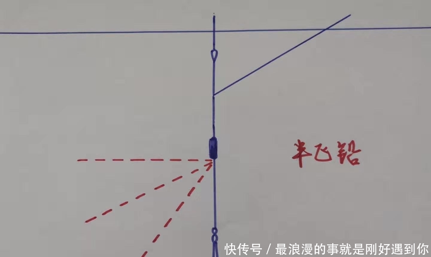 饵料|为什么太阳出来后,鱼就停口了?解析温度升高水中缺氧的作钓技巧