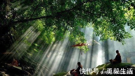 佛教@佛家一句话,胜读十年书!这次给了8句,太给力了