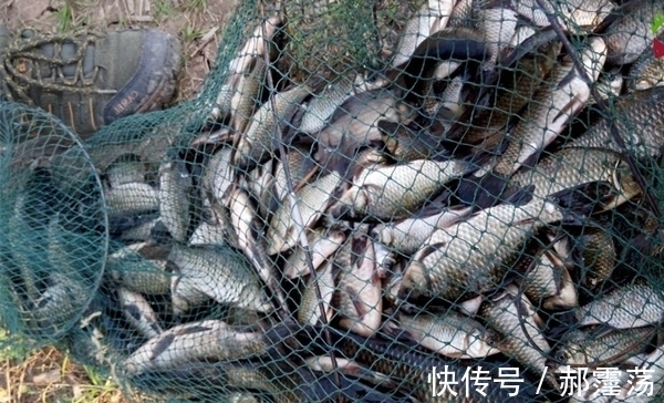 冬季钓鱼,容易爆护的天气汇总,鱼是否开口,天气才是根本!