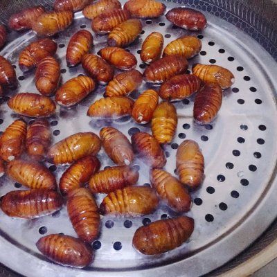 #我心中的冬日限定#干煸蚕蛹