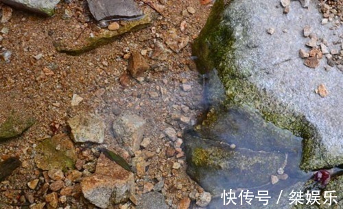 为人处世@老祖宗常说的“水至清则无鱼”,下半句才精华,教你为人处世之道