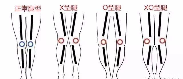 身材|真正会穿的女人,从不随便穿裤子,按“胯宽、腿型”选,才够显瘦