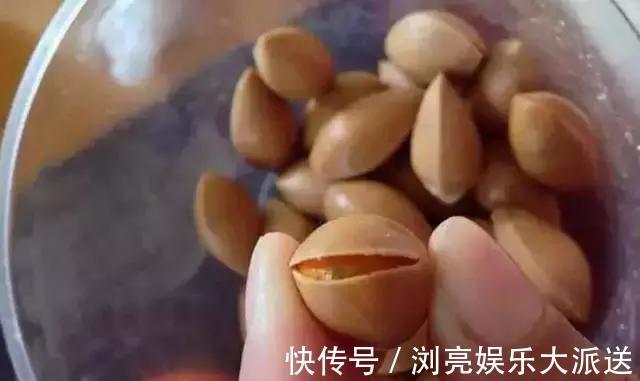 小苗|银杏还在买树上摘几粒种子丢盆里，洒点水，2周长成小苗！