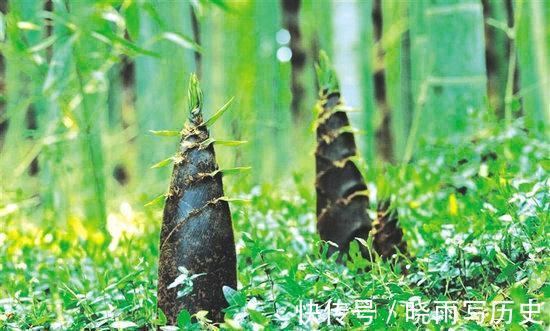 黑木耳|爱美女性坚持吃3种食物，美容养颜，延缓衰老，身体棒棒哒