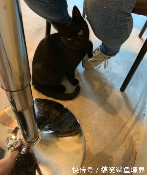 |搞笑GIF段子:我见过破洞裤子,没有见过那么破的