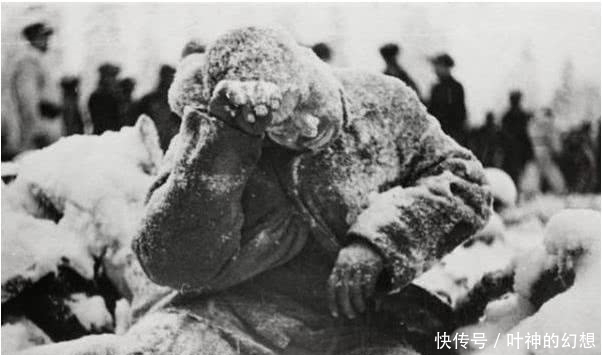 不就|莫斯科保卫战中,德国士兵被大量冻死,他们为何不就地抢掠?