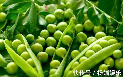 瘦身|女性常吃以下食物，调理肠胃，促进消化，减肥瘦身，爱吃就赚到