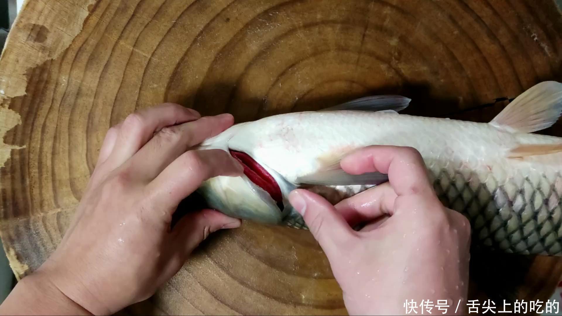 像草鱼但尾巴是红的 像草鱼但尾巴是红的