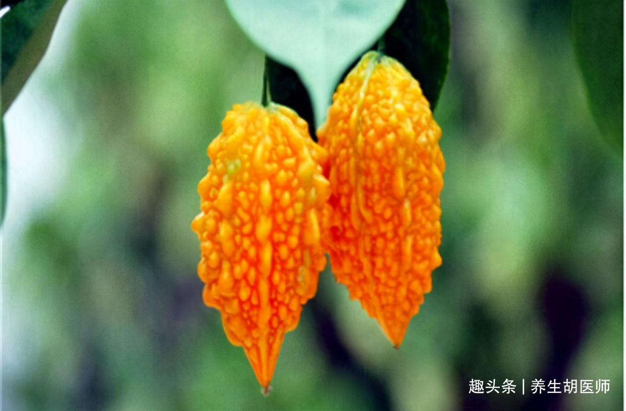 山竹|好食物吃出好身体,3种食物离不开,排毒护肝,有益健康!