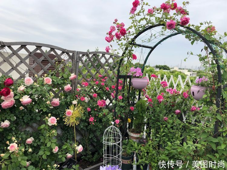 防腐木|13㎡屋顶造花园,在喧嚣城市里,打造一个自己心灵深处的伊甸园