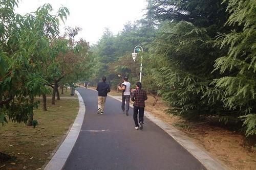 中老年人|45岁男子，为何经常锻炼，疾病却没少？直言：运动细节出了问题