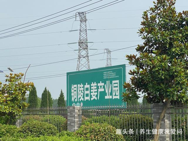 铜陵|你的气血正在从这6个部位偷偷漏掉，补了也白补！正确的方法是