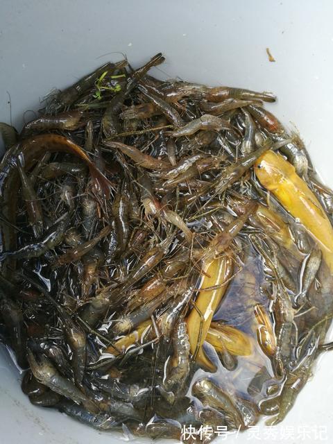 大排档|回老家，老公请同学来家吃夜宵，我做了6个下酒菜，3箱啤酒喝精光