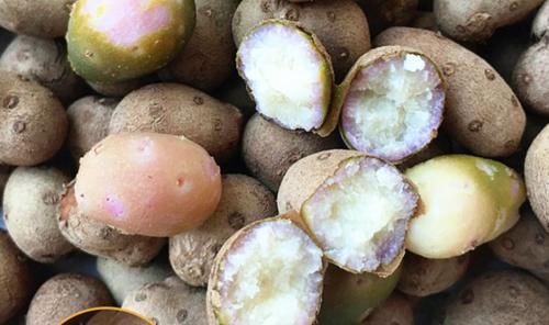 “山药豆”是山药的根须吗？哪个营养好，很多人不知道，涨知识了