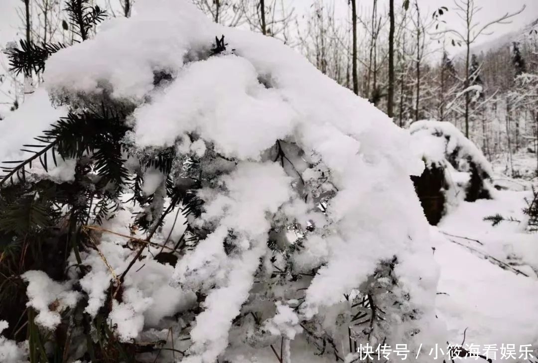 玩雪|绵阳最近的玩雪地，北川擂禹路“ 数千人”玩雪！