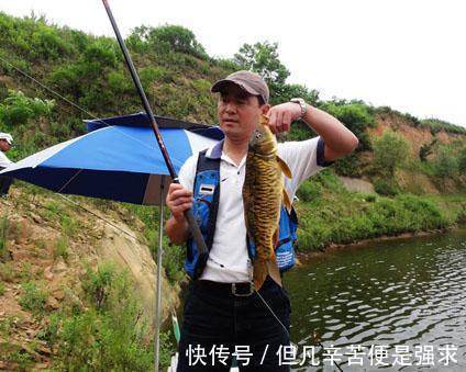 淡水鱼死也逃不掉的3大规律,爱钓鱼的友友记准了,很容易爆护