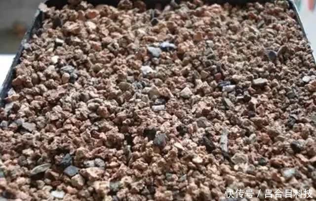 垃圾桶边的蜂窝煤渣,全被邻居偷偷捡回家,逼问才知有这奇用