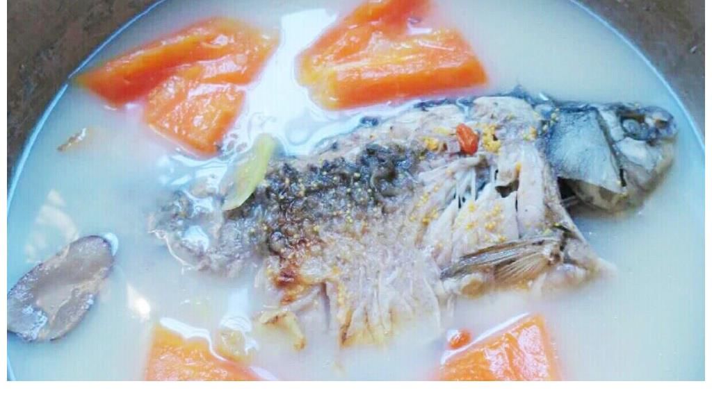 冬瓜|三伏天，这6种“扶阳”美食正当时，各有各的补，懂行的会常吃