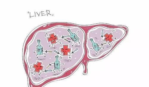 柔肝|百病从“肝”治！名老中医治肝十二法！满满干货！一定不能错过！